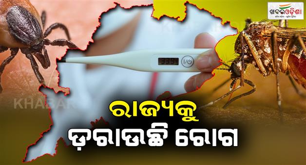 Khabar Odisha:Now-the-people-of-the-state-are-disturbed-by-the-disease