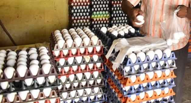 Khabar Odisha:Odisha-Egg-Price-Hike-Retail-Prices-Surge-to-₹9-Per-Piece-Minister-Reveals-Major-Reasons