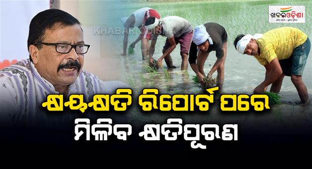 Khabar Odisha:Odisha-Govt-Announces-Compensation-For-Rain-Affected-Farmers