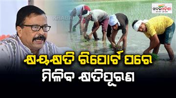 Khabar Odisha:Odisha-Govt-Announces-Compensation-For-Rain-Affected-Farmers