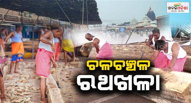 Khabar Odisha:On-the-third-day-the-construction-of-the-chariot-of-Shrijiu-the-chariot-hall-of-the-temple-is-in-full-swing