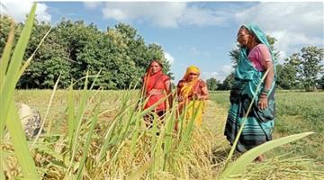 Khabar Odisha:Once-a-daily-wage-worker-now-a--won-an-agriculture-award