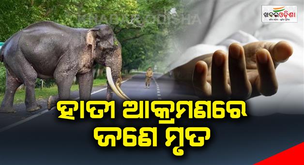 Khabar Odisha:One-dead-in-elephant-attack