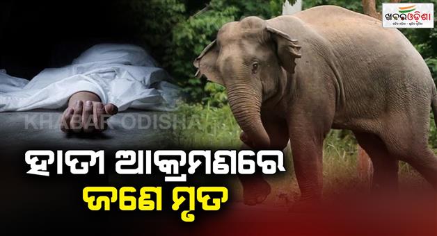 Khabar Odisha:One-dead-in-elephant-attack-2-critical