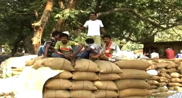 Khabar Odisha:Over-1-Lakh-Farmers-Register-in-One-Day-for-Kharif-Paddy-Procurement