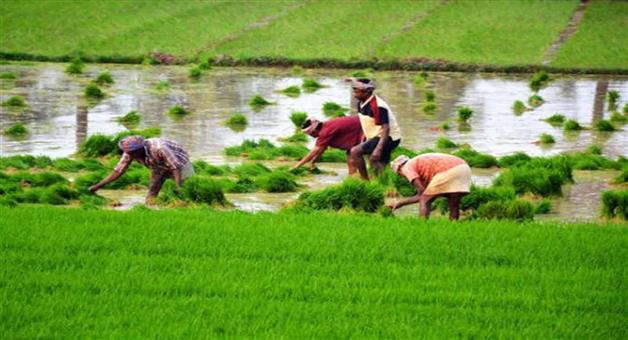 Khabar Odisha:PM-Modi-To-Release-13th-Installment-To-Farmers-Today