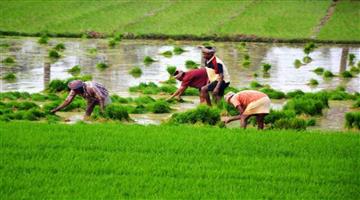 Khabar Odisha:PM-Modi-To-Release-13th-Installment-To-Farmers-Today