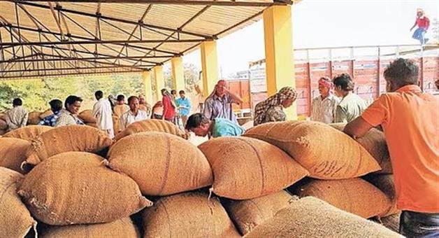 Khabar Odisha:Paddy-Procurement-in-Kalahandi-from-May-20