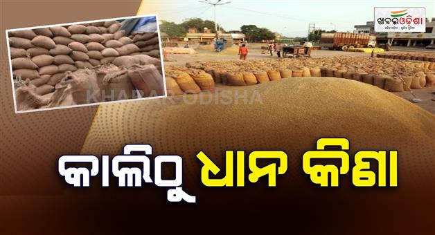 Khabar Odisha:Paddy-harvesting-will-begin-in-the-state-from-tomorrow