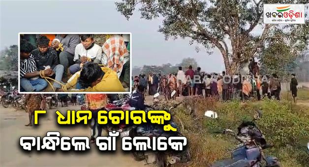 Khabar Odisha:Paddy-thiefs-caught-by-villagers