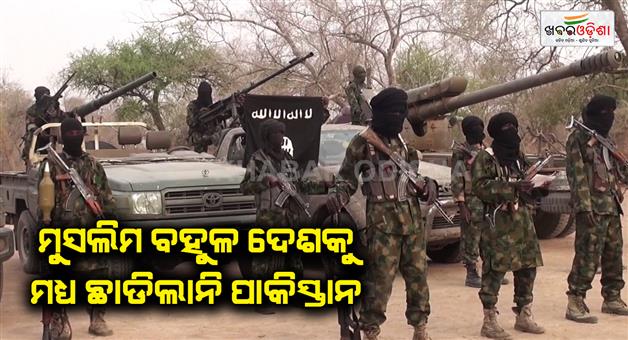 Khabar Odisha:Pakistan-did-not-spare-even-Nigeria-providing-terrorist-aid-to-Boko-Haram-become-hub-of-world-terrorism