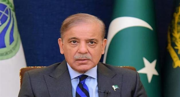 Khabar Odisha:Pakistan-was-out-to-respond-to-India-but-it-was-subjected-to-severe-trolling