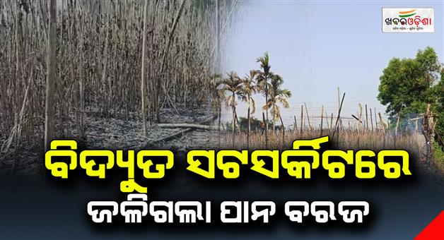 Khabar Odisha:Pan-barge-burnt-in-electric-short-circuit