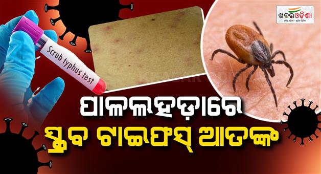 Khabar Odisha:Panic-grips-village-over-Scrub-Typhus-one-infected-person-dies