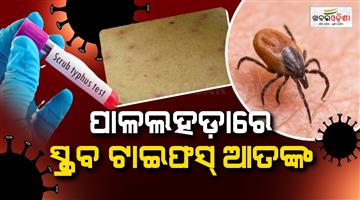 Khabar Odisha:Panic-grips-village-over-Scrub-Typhus-one-infected-person-dies