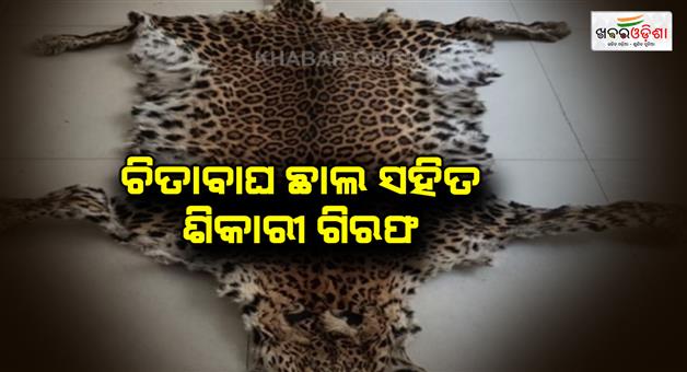 Khabar Odisha:Poacher-arrested-with-leopard-skin