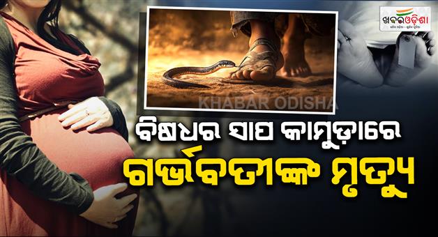 Khabar Odisha:Pregnant-Woman-Dies-After-Venomous-Snake-Bite-in-Nabarangpur