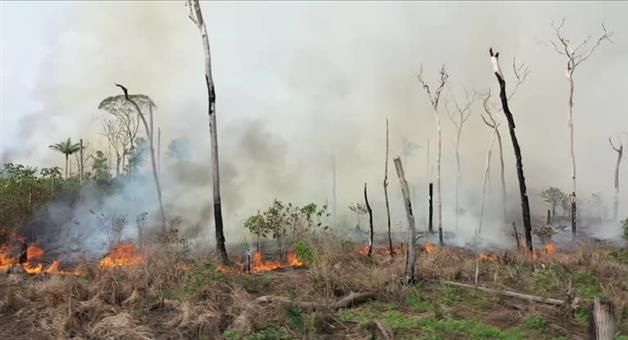 Khabar Odisha:Prepare-in-advance-to-prevent-forest-fires-before-summer