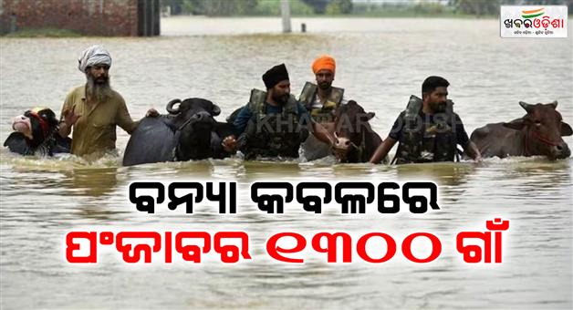 Khabar Odisha:Punjab-floods-most-affected-district-Amritsar-and-Ferozepur