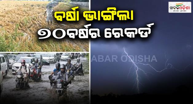 Khabar Odisha:Punjab-rain-breaks-70-year-record-rain-ruins-farmers-crops
