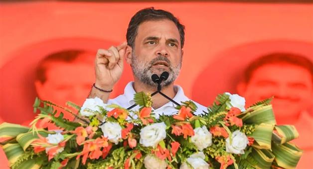 Khabar Odisha:Rahuls-first-action-after-the-shameful-defeat-in-Bihar-elections