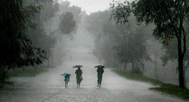 Khabar Odisha:Rain-continues-across-the-state-due-to-the-impact-of-Cyclone-Arnab