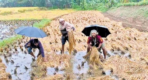 Khabar Odisha:Rains-are-coming-again-farmers-problems-will-increase-in-the-state