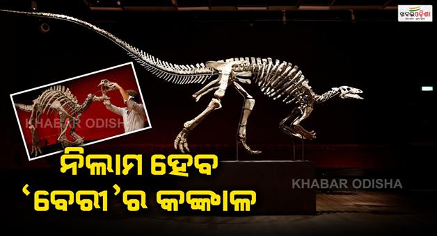 Khabar Odisha:Rare-dinosaur-Barry-up-for-sale-at-Paris-auction