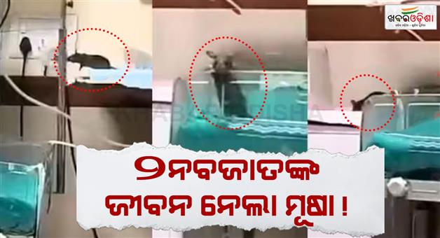 Khabar Odisha:Rat-killed-two-new-borns-administration-issued-show-cause-notice