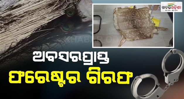 Khabar Odisha:Retired-forester-arrested-deer-skin-and-peacock-tail-found-in-his-house