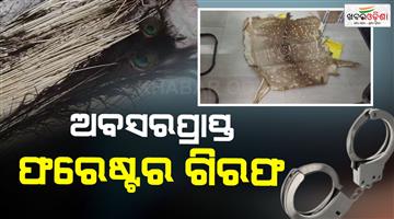 Khabar Odisha:Retired-forester-arrested-deer-skin-and-peacock-tail-found-in-his-house