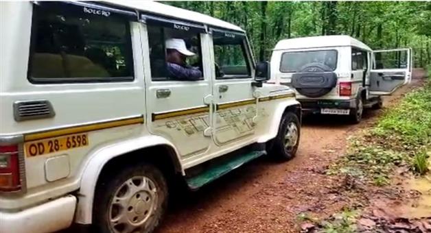 Khabar Odisha:STF-raid-in-Sambalpur-elephant-skeleton-found-again