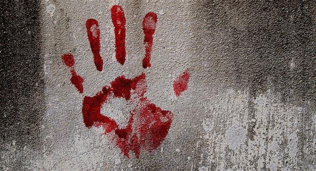 Khabar Odisha:Satan-Bhai-killed-his-brother-along-with-the-villagers