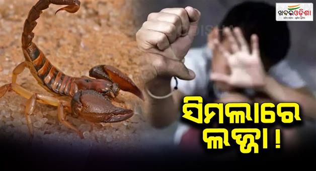 Khabar Odisha:School-teachers-accused-of-assaulting-dalit-student-allegations