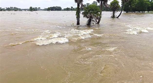 Khabar Odisha:Second-Wave-of-Floods-Ravages-Bhadrak-24-Villages-Cut-Off