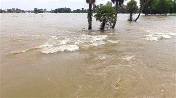 Khabar Odisha:Second-Wave-of-Floods-Ravages-Bhadrak-24-Villages-Cut-Off