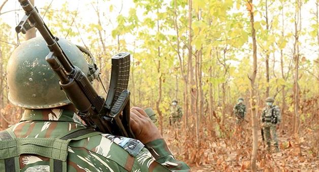 Khabar Odisha:Security-forces-and-Naxals-face-off