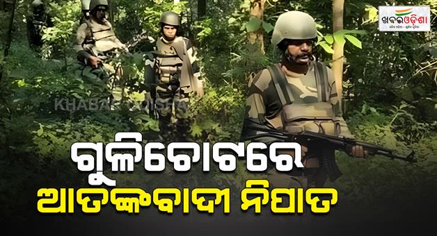 Khabar Odisha:Security-forces-kill-one-terrorist-search-operation-underway