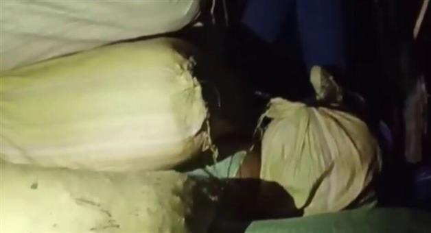 Khabar Odisha:Seized-of-large-quantities-of-ganja