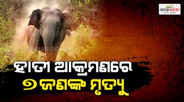 Khabar Odisha:Seven-including-5-members-of-a-family-killed-by-elephant