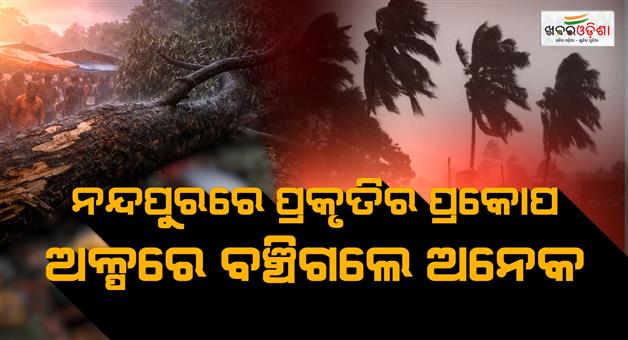 Khabar Odisha:Severe-Storm-Wreaks-Havoc-in-Koraput-Businessman-Injured-After-Tree-Collapse