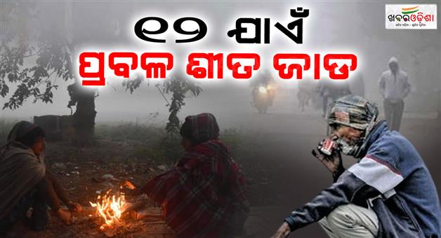 Khabar Odisha:Severe-cold-till-12-Entire-state-in-shock-due-to-cold-Severe-cold-will-be-in-this-district