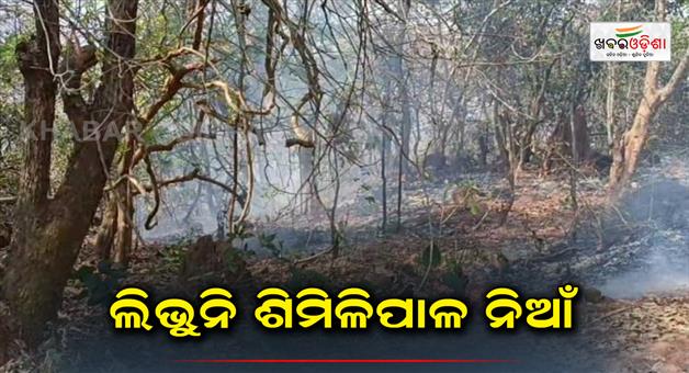 Khabar Odisha:Similipal-fire