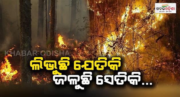 Khabar Odisha:Similipal-forest-fire