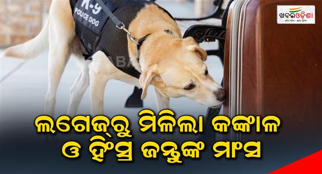 Khabar Odisha:Skeletons-and-meat-of-wild-animals-were-found-in-the-luggage