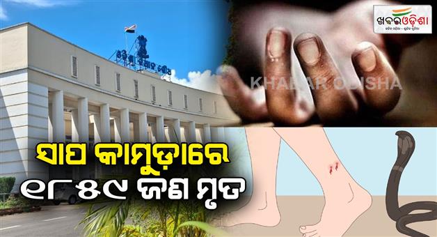 Khabar Odisha:Snake-bite-deaths-on-the-rise