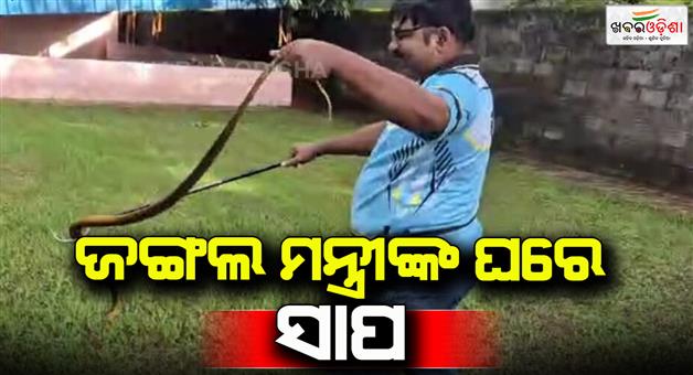 Khabar Odisha:Snake-in-forest-ministers-house