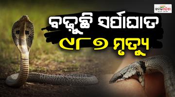 Khabar Odisha:Snakebite-Crisis-In-India