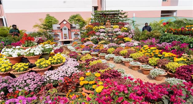 Khabar Odisha:Soa-First-Pushpa-festival-inaugurated