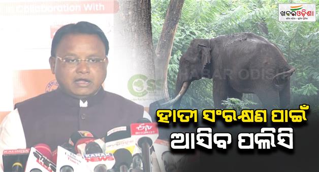 Khabar Odisha:Special-policy-to-be-introduced-for-elephant-conservation